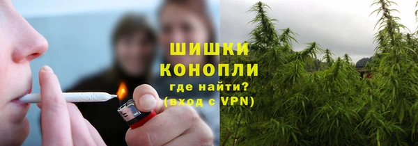 прущие крисы Горнозаводск