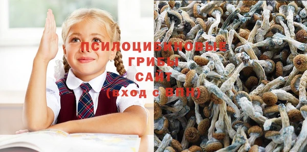 прущие крисы Горнозаводск