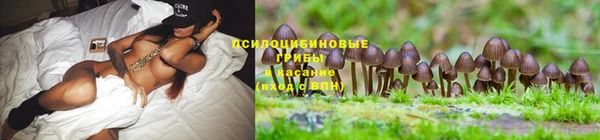 марки nbome Горняк
