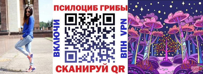 Купить  Борзя  Галлюциногенные грибы Psilocybe 